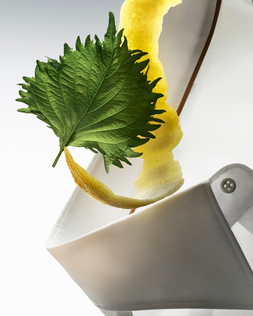 Boss, The Collection, Al Dente, 2024