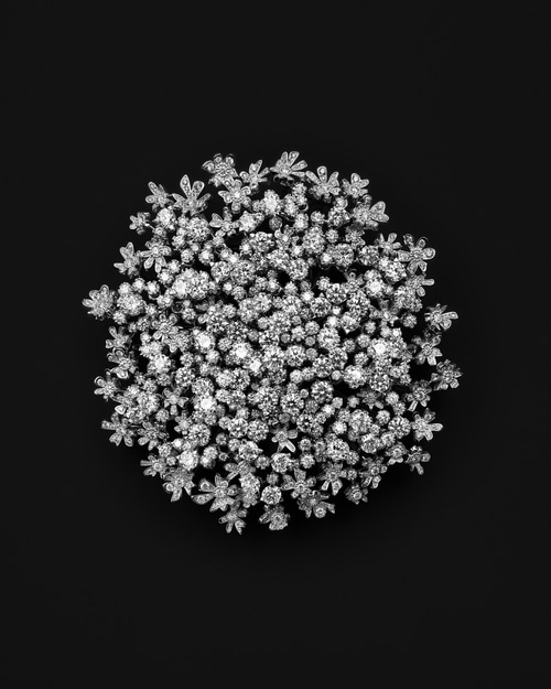 Boucheron, Untamed Nature High Jewelry, Al Dente, 2025