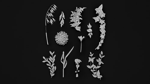 Boucheron, Untamed Nature High Jewelry, Al Dente, 2025