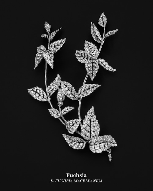 Boucheron, Untamed Nature High Jewelry, Al Dente, 2025