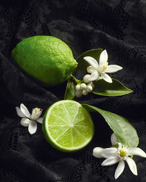 Dolce & Gabbana, Archive Re-Edition, Al Dente, 2026