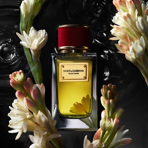 Dolce & Gabbana, Velvet Collection, Al Dente, 2025