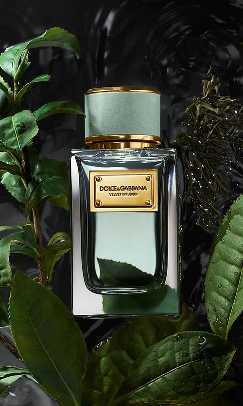 Dolce & Gabbana, Velvet Collection, Al Dente, 2025