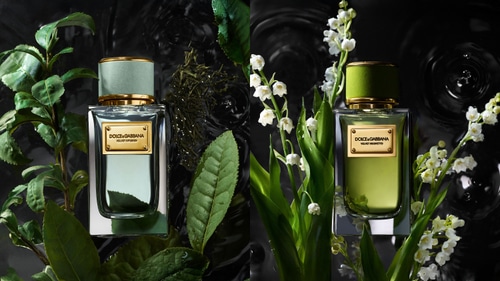 Dolce & Gabbana, Velvet Collection, Al Dente, 2025