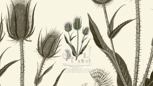 Loro Piana, Chronicles, Al Dente, 2024