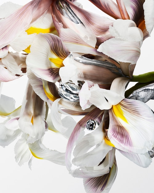 Prada, AI Social Campaign, Al Dente, 2024